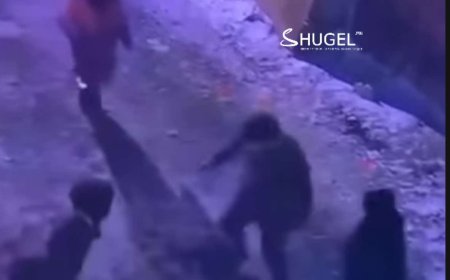 ЦЕГ: ТҮК-ийн ажилтныг эрхэлсэн тодорхой ажилгүй С гэгч шалтгаангүйгээр  хутгалж гэмтээснийг тогтоожээ