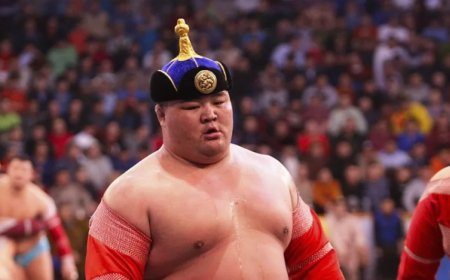 Арлсан Э.Оюунболдын барилдах эрхийг тавдугаар  сард сэргээнэ