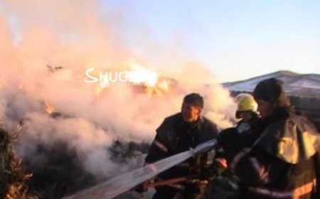 Бага насны гурван хүүхэд, 37 настай эрэгтэйн хамт галд өртөж амиа алджээ