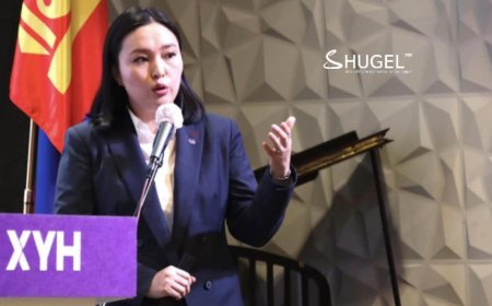 Э.Золзаяаг Улаанбаатар хотын агаарын бохирдлыг бууруулах төсөл хөтөлбөр хариуцсан бүтээмжийн менежрээр томилохоор болжээ