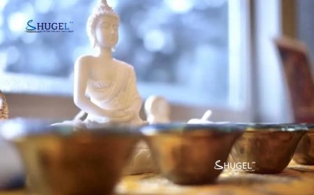 Тухайн өдөр луу, бич жилтнээ аливаа үйлийг хийхэд эерэг сайн