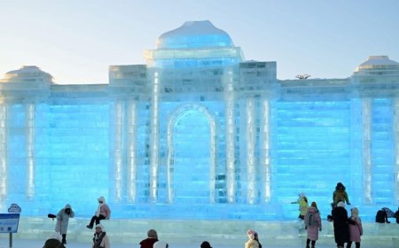 Харбин хотод Монгол Улсын Төрийн ордныг мөсөөр урлан сүндэрлүүлжээ