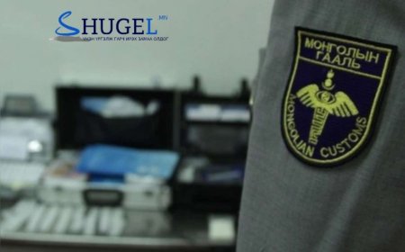Турк Улсаас бусдын дайвар ачаанд нуун, хууль бусаар оруулж ирсэн 239.4 грамм мансууруулах бодисыг илрүүлжээ