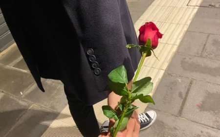 Валентин нэртэй 3 хүн, Хайрынбурхан нэртэй 1 хүн байна