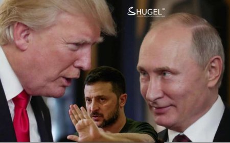 В.Зеленський ''Украины оролцоогүйгээр ямар ч энхийн хэлэлцээ хэрэгжихгүй '' хэмээн анхааруулав