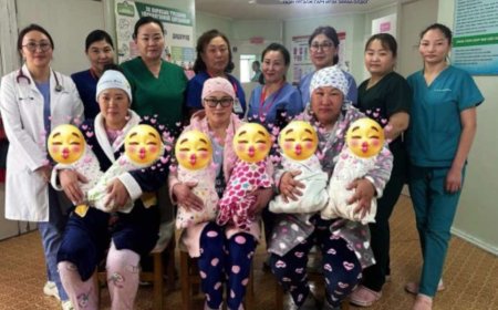 Гурван ээж   хоёр ихэр хүүхэд төрүүлжээ