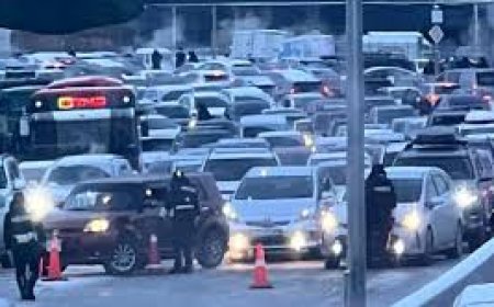 Автомашиныг тэгш, сондгой дугаараар хязгаарлах эсэх талаар өнөөдөр мэдээлнэ