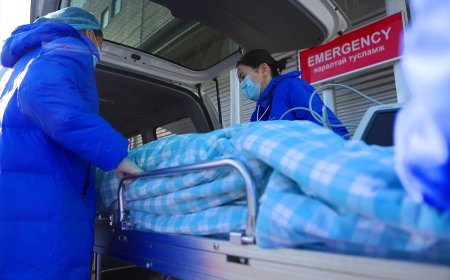 Зэвсэгт хүчний хоёр алба хаагч гранат шидэх сургуулилалтын үеэр дэлбэрэлтэд өртөж, гэмтжээ