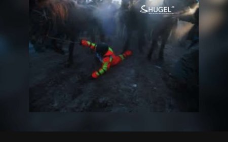 Мориноос унаж амиа алдсан хүү хүний  ганц хүү байжээ