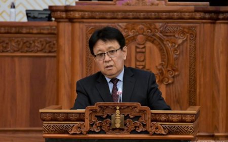 Б.Буяндэлгэр: Цагаан сарын шинийн 2, 3, 4-ний өдрүүдийг нийтээр амрах өдрүүд гэж тодотгон шийдвэрлэх бүрэн боломжтой