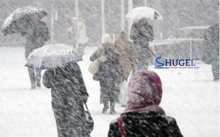 Маргаашаас цасан болон шороон шуургатай