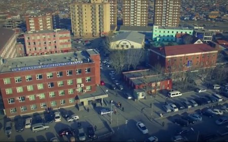 Хуулийн этгээдийн тамга, тэмдгийг хүлээлгэн өгөхгүй авч зугтдаг явдлыг таслан зогсоолоо