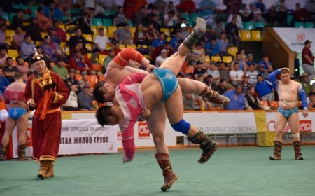 Дархан аваргаас сумын заан цолтон хүртэлх 84 бөхөөс допингийн шинжилгээ авчээ