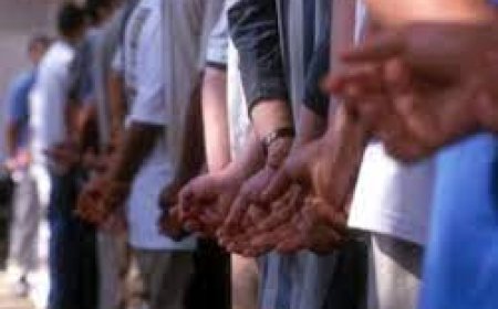 Бүлэглэн машины дугуй хулгайлдаг этгээдүүд  Онцгой байдлын байгууллагад ажилладаг болох нь тогтоогджээ