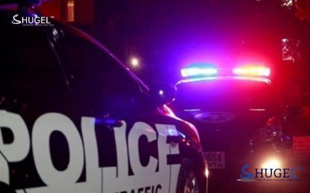 23 настай залуу бусдын эмзэг мэдээллийг ашиглан 282 иргэнийг залилжээ