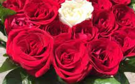 Монголд Мартыннайман нэртэй нэг хүн байна