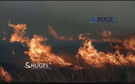 Хээрийн долоон түймэр бүртгэгдлээ