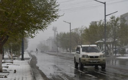 2025 оны анхны бороо Улаанбаатар хотод өчигдөр орсныг ЦУОШГ-аас мэдээллээ