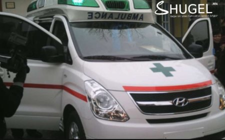 Өмнөговь аймагт УЛААНБУРХАН өвчний тохиолдол батлагджээ