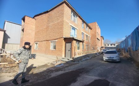 Нийтийн 770 байр байдгаас 754 нь иргэнд, үлдсэн нь аж ахуйн нэгжид бүртгэлтэй байна. Мөн үүнээс зөвхөн 285 нь татвар төлдөг