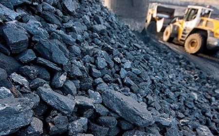 Нүүрсний үнэ унаж байгаа ч төсөвт цочрол үүсэхээр хэмжээнд хүрээгүй