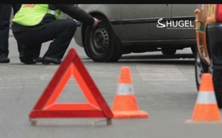 Тээврийн хэрэгслийг жолоодон ухрах үйлдэл хийхдээ  хүний амь хөнөөсөн хэрэг хоёр гарлаа
