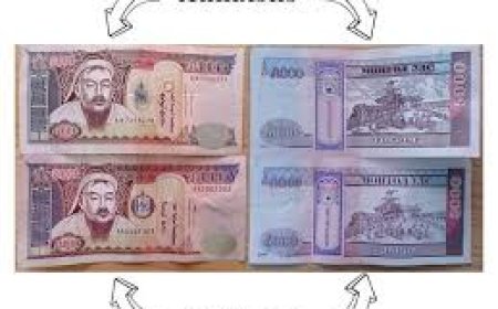 Хуурамчаар үйлдсэн мөнгөн дэвсгэртүүдийн 92 хувь нь 5, 10, 20 мянгатын дэвсгэрт байжээ