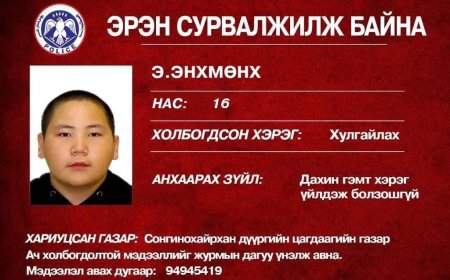 Хулгайлах, дээрэмдэх, эд хөрөнгө устгах гэмт хэрэгт холбогдсон 16-22 настай ДӨРВӨН ЗАЛУУГ эрэн сурвалжилж байна