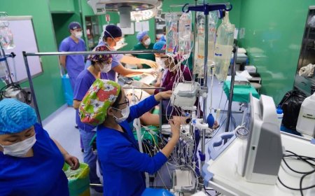 Монголд элэг шилжүүлэн суулгах мэс заслыг амжилттай нутагшуулж, 300 гаруй хүний амийг аварчээ