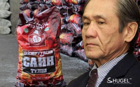 Ерөнхийлөгч асан Н.Энхбаяр шахмал түлш, агаарын бохирдлын асуудал хариуцсан Тусгай үүрэгт Элчин сайдаар  томилогджээ