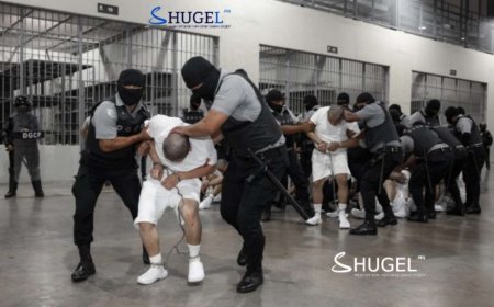 Д.Трампын засаг захиргаа гэмт бүлэглэлийн  250 орчим хууль бус цагаачдыг  АНУ-аас албадан гаргалаа