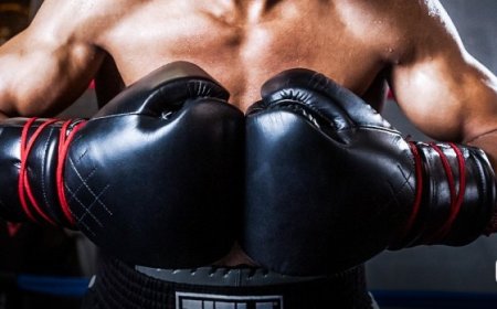 "Лос Анжелес 2028" олимпын хөтөлбөрт боксын спорт багтлаа