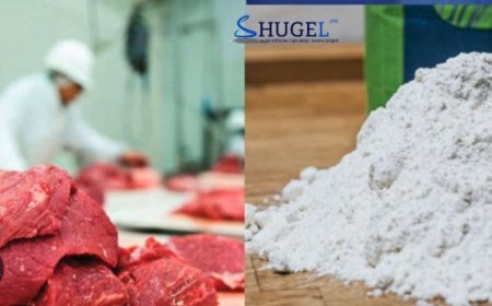 Махны үнэ өсөж, гурилын үнэ буурчээ