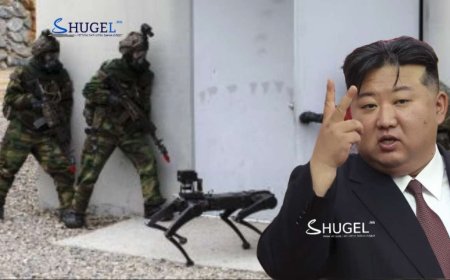 Ким Жон Уны газар доорх бункер руу робот нохойгоор дайрахаар бэлдэж байна
