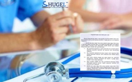 Засгийн газраас ''Дэлхийн эмч нарын өдөр''-ийг тэмдэглэхийг хоригложээ