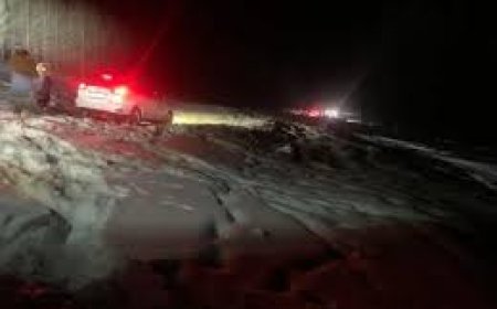 26 удаагийн үйлдлээр иргэдийн 284 тооны бод, 278 тооны бог мал хулгайлсан бүлэг этгээдүүдийг баривчилжээ