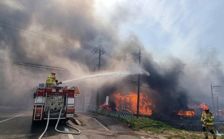 Ойн түймрийн улмаас 24 хүн нас бараад байна