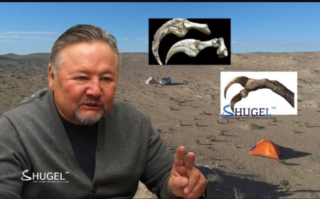 Монголоос олдсон  үлэг гүрвэлийн хамгийн том хумсыг палеонтологич Х.Цогтбаатарын нэрээр нэрлэжээ