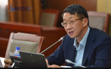 Л.Энх-Амгалан: Цалинтай ээжийн ₮50 мянгыг 500 мянган төгрөг болгох боломжгүй