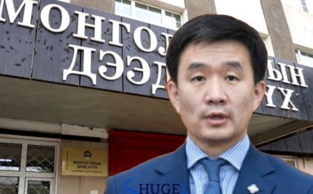 УИХ-ын гишүүн Д. Цогтбаатар УДШ-ийн шүүгч Ч.Хосбаярт хандан ял эдлэх хугацааг хойшлуулж өгөх хүсэлт хүргүүлжээ