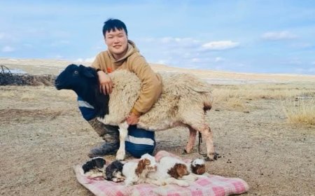 Э.Отгонбаярын хотод таван ихэр хурга ихэрлэжээ