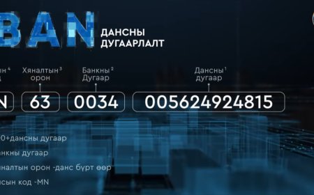 IBAN  дансны дугаарлалтыг нэвтрүүллээ