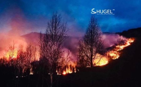 Хээрийн түймэр гарч 120 га талбай шатжээ