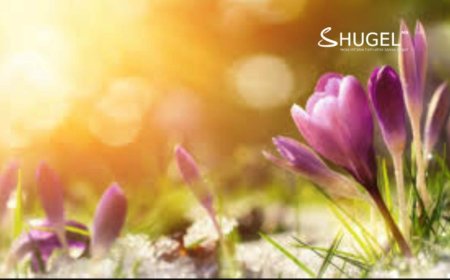 Ойрын өдрүүдэд ихэнх нутгаар дулаарч хуурайшилт нэмэгдэх тул болзошгүй