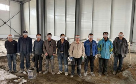 27 иргэн хууль бусаар хөдөлмөр эрхэлж байсныг албадан гаргажээ