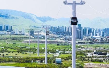 Дүүжин тээврийн  баганыг  байрлуулж эхэллээ