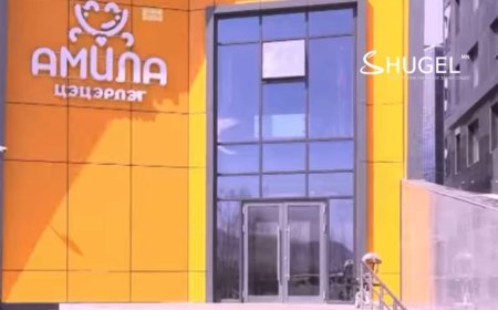 Сард хүүхдүүдээс 1.5 сая төгрөг авдаг ''Амила'' цэцэрлэг хүүхэдтэй зүй бус харьцаж, эцэг эхчүүдээс зайлсхийх болжээ