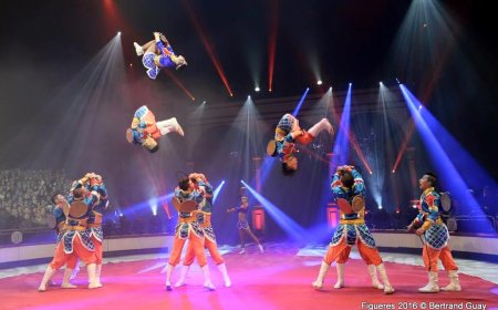 Монголын циркчид  төв талбайд чуулна