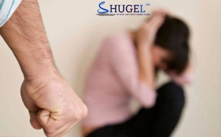 Хойд эцгийнхээ бэлгийн хүчирхийлэлд байсан 15 настай охины хэргийг  шалгагдаж байна