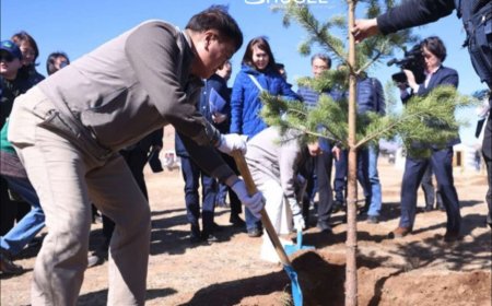 БНСУ-ын Үндэсний Ассамблейн дарга Ү Вон Шиг “Хамтын ойн төгөл”-д мод тарилаа